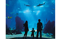 aquarium