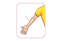 arm