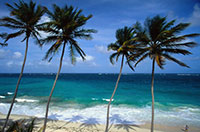 beach