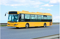 bus
