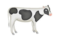cow