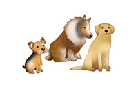 dogs