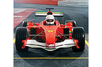 drive a race car