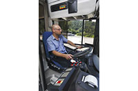 drive buses