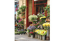flower shop