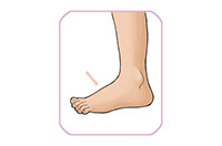 foot