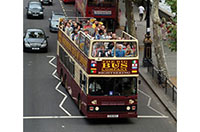 go on a bus tour