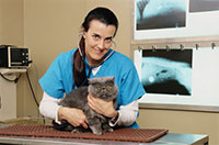 help sick animals