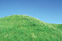 hill