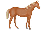 horse