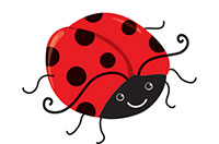 Ii insect