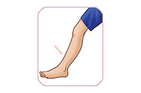 leg