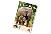 magazine