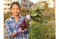 pick vegetables