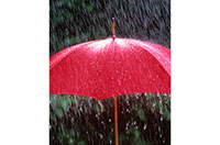 rainy