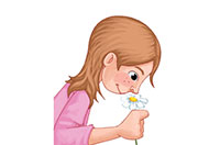 smell