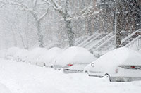 snowy