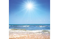 sunny