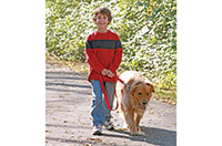 walk the dog
