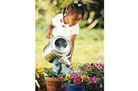 water the plants