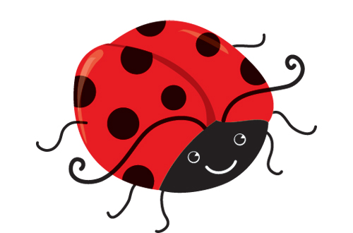 Ii insect