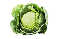 cabbage