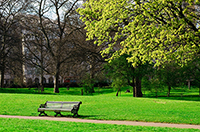park