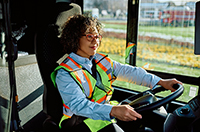 drive buses