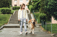 walk the dog
