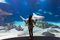 aquarium
