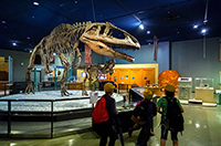 museum