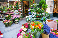 flower shop