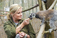work with animals