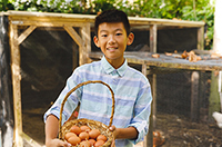 collect eggs
