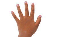 hand