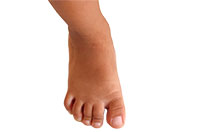 foot