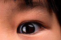 eye