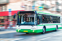bus