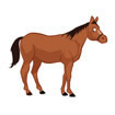 horse