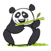 panda