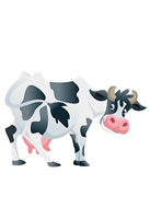 cow