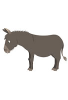 donkey