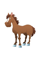 horse