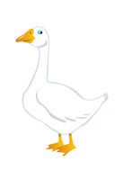 goose