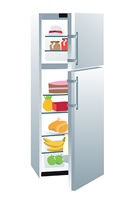 fridge
