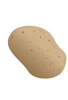 potato