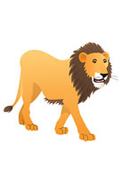 lion