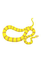 snake