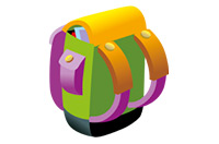 a bag