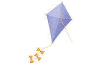 a kite